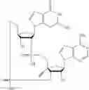 Fig. 516 - Cyclic di-nucleotide compounds as sting agonists