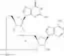 Fig. 518 - Cyclic di-nucleotide compounds as sting agonists