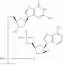 Fig. 519 - Cyclic di-nucleotide compounds as sting agonists