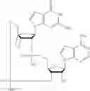 Fig. 521 - Cyclic di-nucleotide compounds as sting agonists