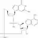 Fig. 522 - Cyclic di-nucleotide compounds as sting agonists