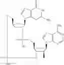 Fig. 523 - Cyclic di-nucleotide compounds as sting agonists