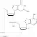Fig. 538 - Cyclic di-nucleotide compounds as sting agonists
