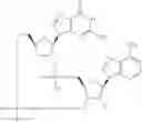 Fig. 541 - Cyclic di-nucleotide compounds as sting agonists
