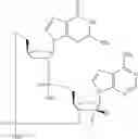 Fig. 542 - Cyclic di-nucleotide compounds as sting agonists
