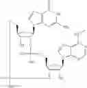 Fig. 544 - Cyclic di-nucleotide compounds as sting agonists