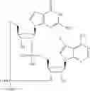 Fig. 546 - Cyclic di-nucleotide compounds as sting agonists