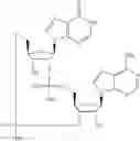 Fig. 548 - Cyclic di-nucleotide compounds as sting agonists