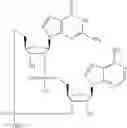 Fig. 550 - Cyclic di-nucleotide compounds as sting agonists