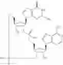 Fig. 551 - Cyclic di-nucleotide compounds as sting agonists
