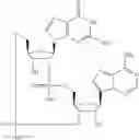 Fig. 553 - Cyclic di-nucleotide compounds as sting agonists