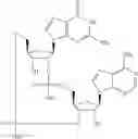 Fig. 556 - Cyclic di-nucleotide compounds as sting agonists