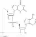 Fig. 557 - Cyclic di-nucleotide compounds as sting agonists