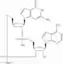 Fig. 558 - Cyclic di-nucleotide compounds as sting agonists