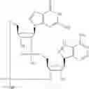 Fig. 562 - Cyclic di-nucleotide compounds as sting agonists