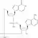 Fig. 563 - Cyclic di-nucleotide compounds as sting agonists