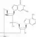 Fig. 565 - Cyclic di-nucleotide compounds as sting agonists