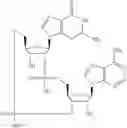 Fig. 566 - Cyclic di-nucleotide compounds as sting agonists