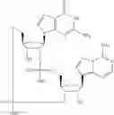 Fig. 567 - Cyclic di-nucleotide compounds as sting agonists