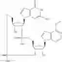 Fig. 569 - Cyclic di-nucleotide compounds as sting agonists