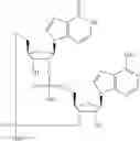 Fig. 571 - Cyclic di-nucleotide compounds as sting agonists