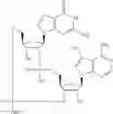 Fig. 573 - Cyclic di-nucleotide compounds as sting agonists