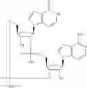 Fig. 574 - Cyclic di-nucleotide compounds as sting agonists