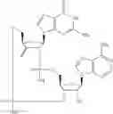 Fig. 575 - Cyclic di-nucleotide compounds as sting agonists