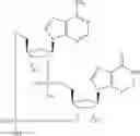 Fig. 576 - Cyclic di-nucleotide compounds as sting agonists