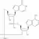 Fig. 578 - Cyclic di-nucleotide compounds as sting agonists