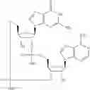 Fig. 582 - Cyclic di-nucleotide compounds as sting agonists