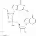 Fig. 583 - Cyclic di-nucleotide compounds as sting agonists