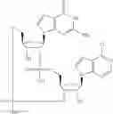 Fig. 584 - Cyclic di-nucleotide compounds as sting agonists
