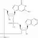 Fig. 585 - Cyclic di-nucleotide compounds as sting agonists