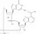 Fig. 590 - Cyclic di-nucleotide compounds as sting agonists