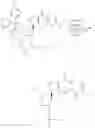 Fig. 593 - Cyclic di-nucleotide compounds as sting agonists