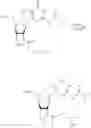 Fig. 599 - Cyclic di-nucleotide compounds as sting agonists