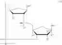 Fig. 60 - Cyclic di-nucleotide compounds as sting agonists