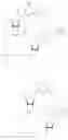 Fig. 607 - Cyclic di-nucleotide compounds as sting agonists