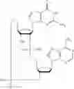 Fig. 616 - Cyclic di-nucleotide compounds as sting agonists