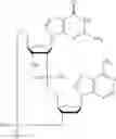 Fig. 617 - Cyclic di-nucleotide compounds as sting agonists