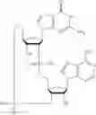 Fig. 619 - Cyclic di-nucleotide compounds as sting agonists