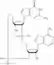 Fig. 620 - Cyclic di-nucleotide compounds as sting agonists