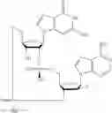 Fig. 621 - Cyclic di-nucleotide compounds as sting agonists