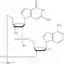 Fig. 622 - Cyclic di-nucleotide compounds as sting agonists