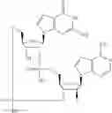 Fig. 628 - Cyclic di-nucleotide compounds as sting agonists