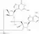 Fig. 635 - Cyclic di-nucleotide compounds as sting agonists