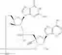 Fig. 636 - Cyclic di-nucleotide compounds as sting agonists