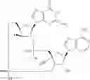 Fig. 637 - Cyclic di-nucleotide compounds as sting agonists