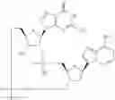 Fig. 643 - Cyclic di-nucleotide compounds as sting agonists